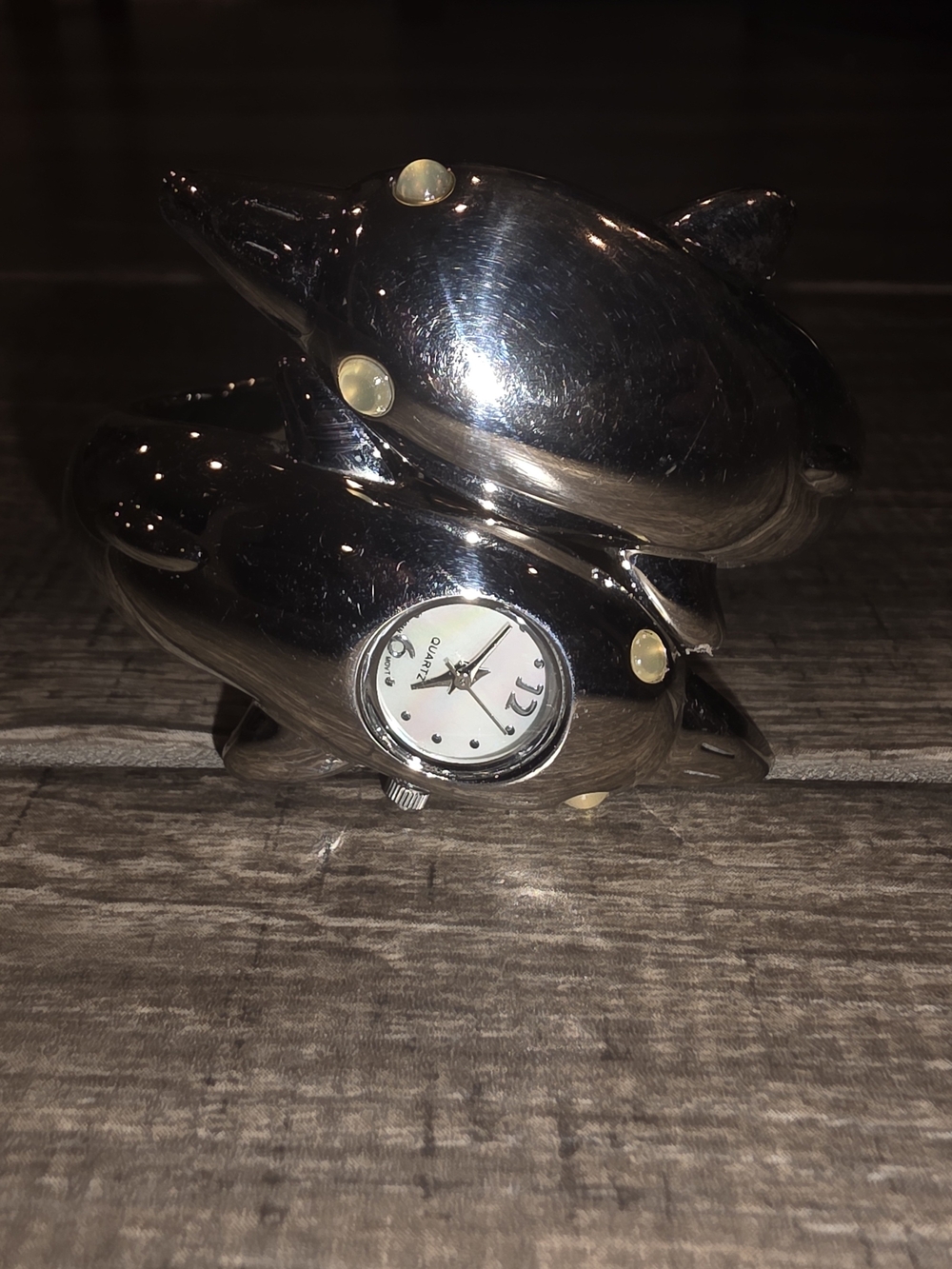 Silver Dolphin Watch